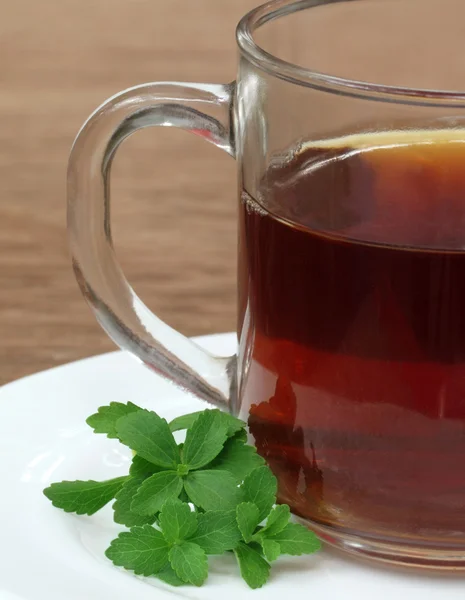 Stevia avec une tasse de thé — Photo