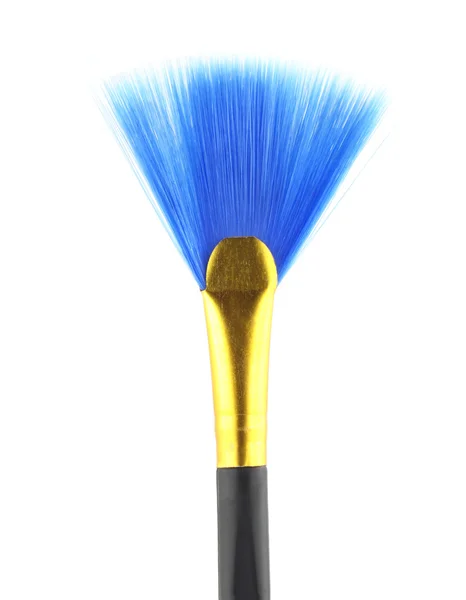 Brosse de nettoyage bleue — Photo