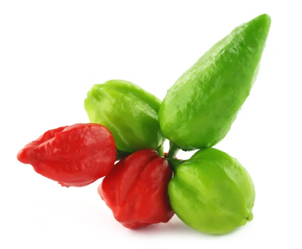 Různé typy chilli — Stock fotografie