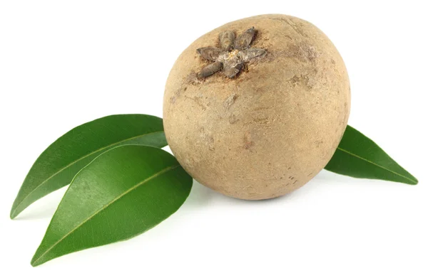 Sapodilla frukter — Stockfoto