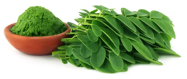 Moringa yaprakları ile Yapıştır