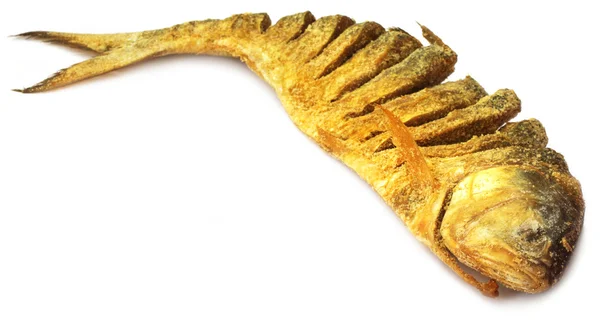 Uncooked preserved Ilish fish — Stock Photo, Image