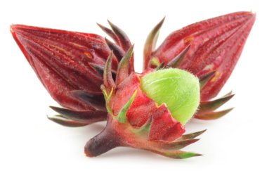 Roselle