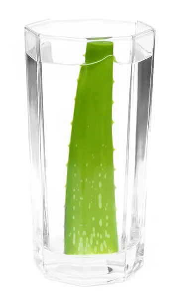 Aloe vera fresca — Foto Stock