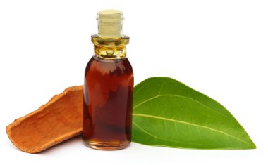Cinnamon leaf with bark and essential oil clipart