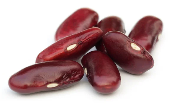 Rajma dal — Stock Photo, Image