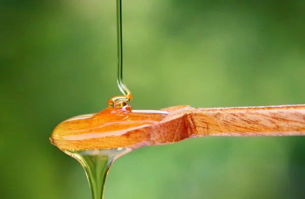 Dripping honey on wooden spoon — Stock Photo, Image