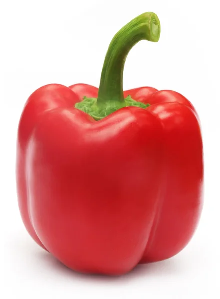 Red capsicum — Stock Photo, Image