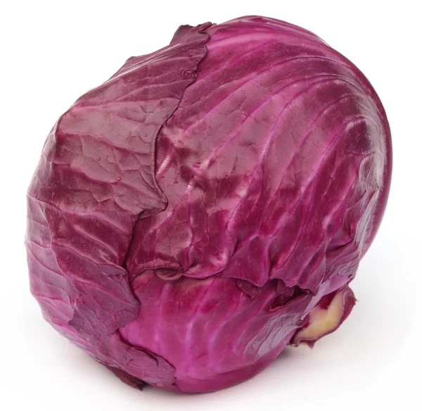 Closeup of red cabbage — Stock Photo, Image