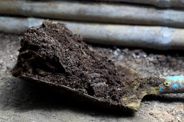 Closeup of cow manure with shovel — Stock Photo, Image