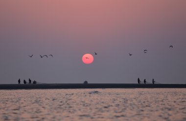 Uçan kuşlar ile deniz kıyısına Sunrise