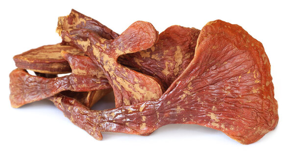 Одуванчиковый гриб
