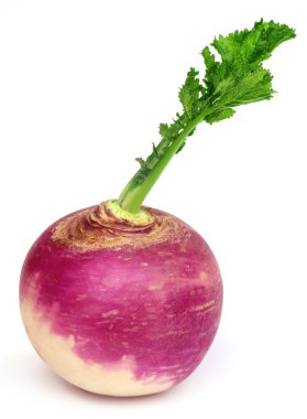 Şalgam