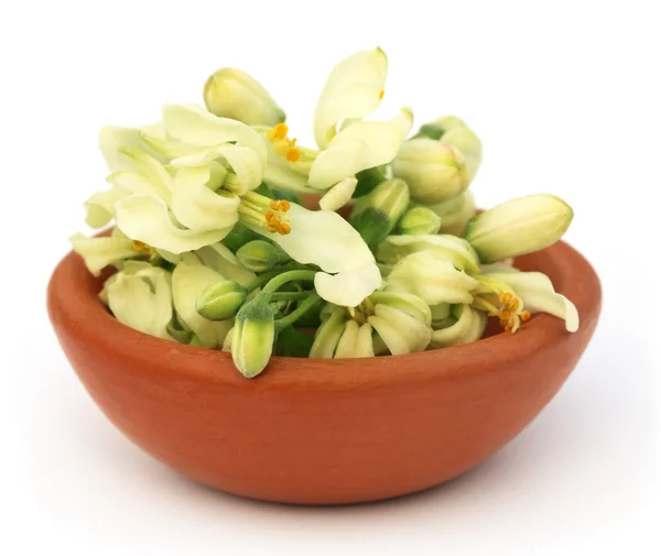 Edible moringa flower on a brown bowl — Stock fotografie