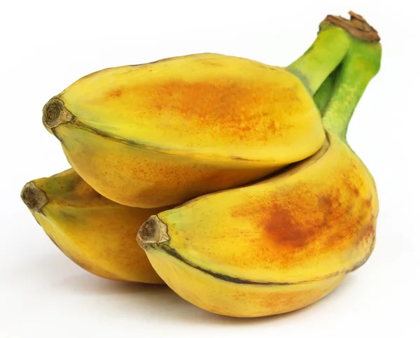 Wilde banaan van Zuidoost-Azië — Stockfoto