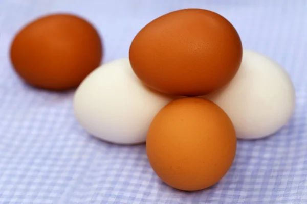 Eier zum Kochen — Stockfoto
