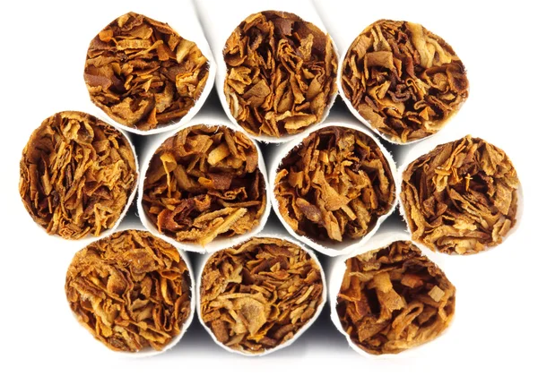 Close up van sommige sigaretten — Stockfoto