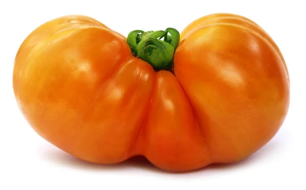 Tomate maduro grande — Foto de Stock