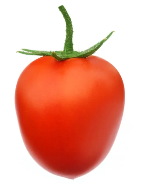 Ripe tomato — Stock Photo, Image