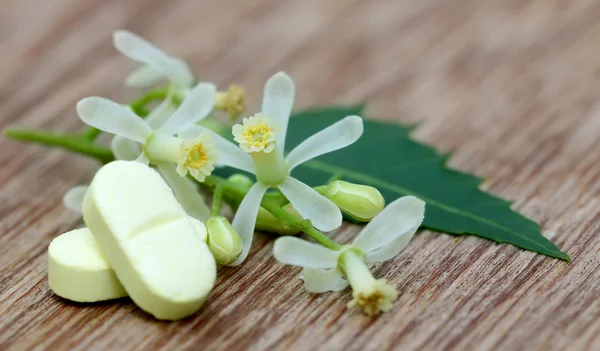 Comprimidos de neem medicinal — Fotografia de Stock