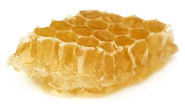 Honey Comb with honey — Stock Photo, Image