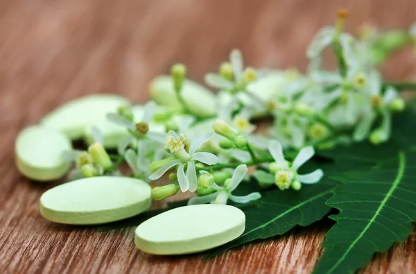 Tabletki z neem leczniczych — Zdjęcie stockowe