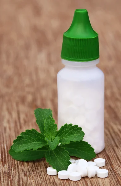 Stevia with tablets — Stock Photo, Image