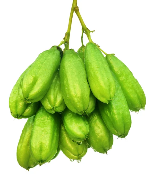 Ramo de frutas Bilimbi — Foto de Stock