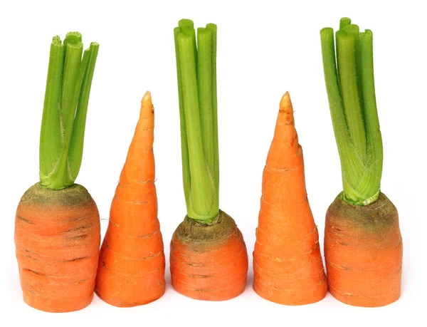 Zanahoria en rodajas —  Fotos de Stock