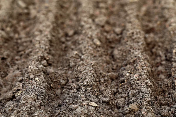 Tierras cultivadas — Foto de Stock