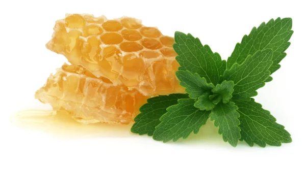 Honey comb with stevia — Stock Photo, Image