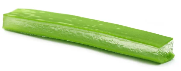 Aloe vera fresco — Foto de Stock