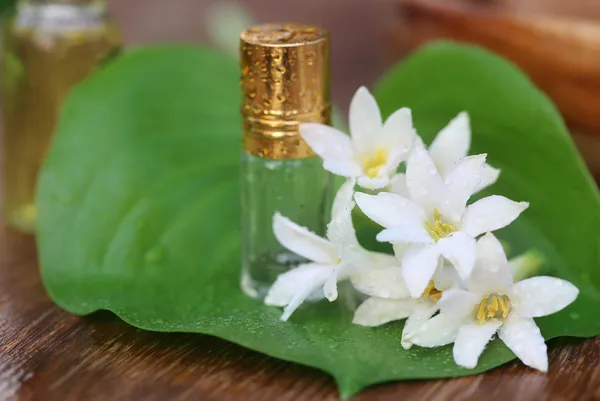 Tuberose atau Rajnigandha dari Asia Tenggara dengan ekstrak herbal — Stok Foto