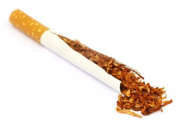 Tobacco and cigarette — Stock Photo, Image