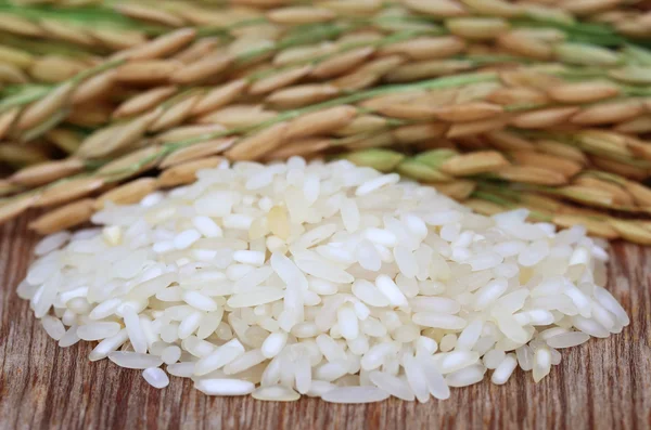 Paddy seeds with rice — Stock Photo, Image