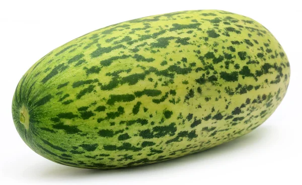 Čerstvé meloun cukrový jediného — Stock fotografie
