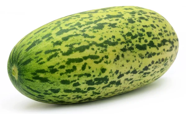 신선한 muskmelon 단일 — 스톡 사진