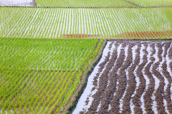 Tierras cultivadas —  Fotos de Stock