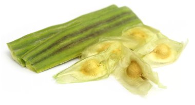 Seeds of moringa oleifera clipart