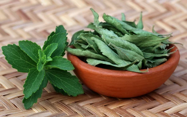 Πράσινο και dired φύλλα stevia — Φωτογραφία Αρχείου