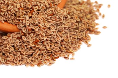 Psyllium kabuğu