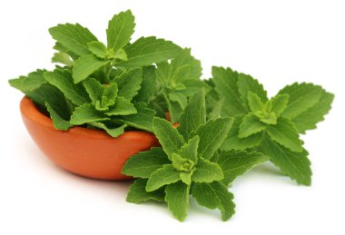 Stevia leaves in bowl clipart