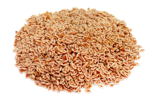 Psyllium husks — Stock Photo, Image