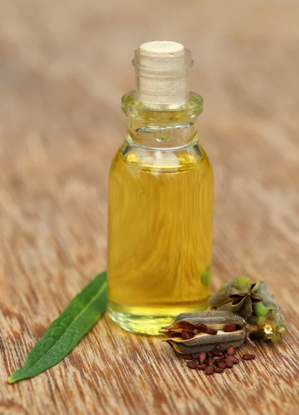 Sesame seeds with oil — Stock Photo, Image