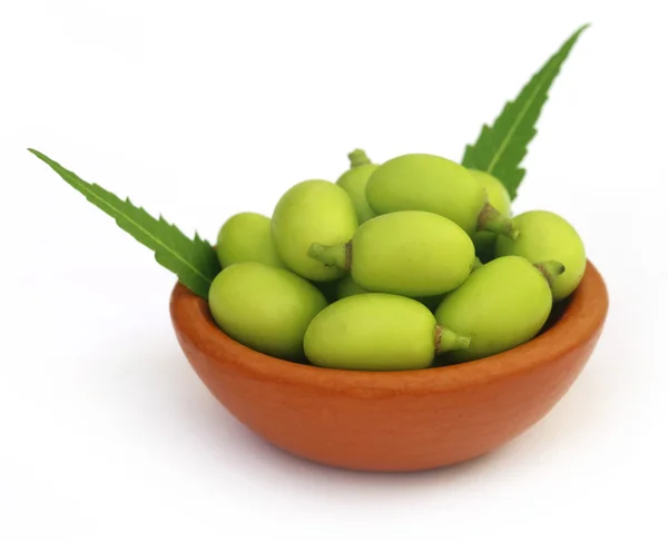 Frutti di Neem in ciotola — Foto Stock