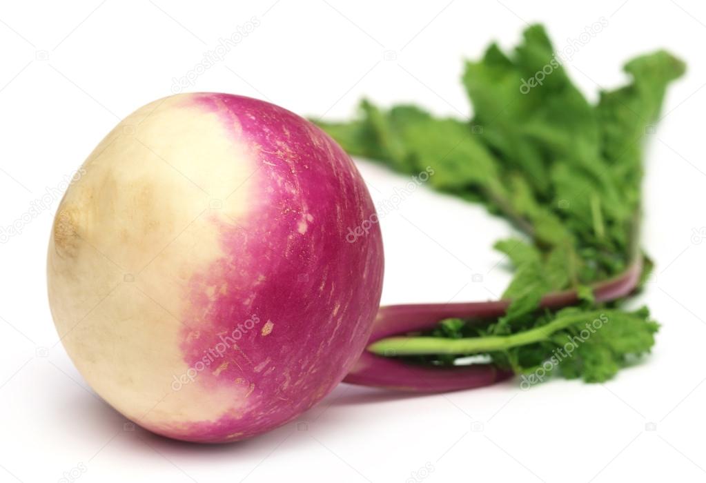 Raw Turnip