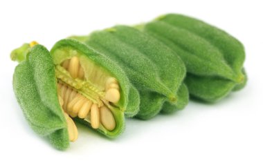 Susam Pod