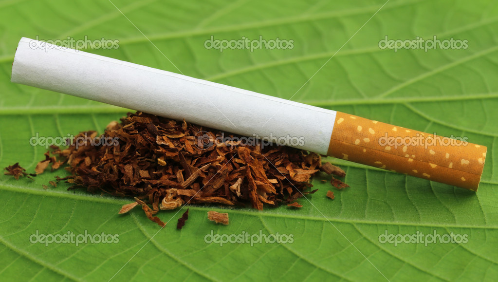 hojas de tabaco de cigarrillos — Fotos de Stock © bdspn74 #48733041