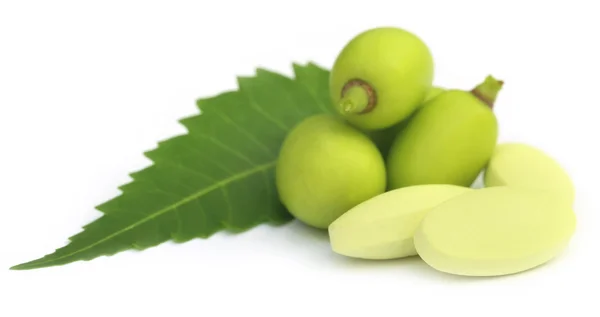Fruits de neem médicinaux avec comprimés — Photo