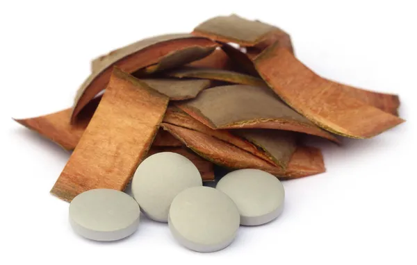 Medicinal Terminalia arjuna — Stock Photo, Image